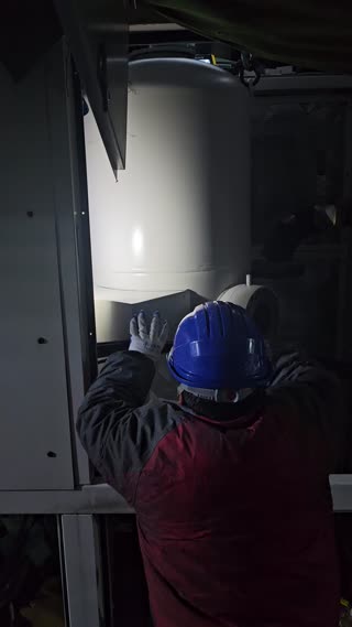 有宠物或植物的家庭，搬家当天怎么安排？