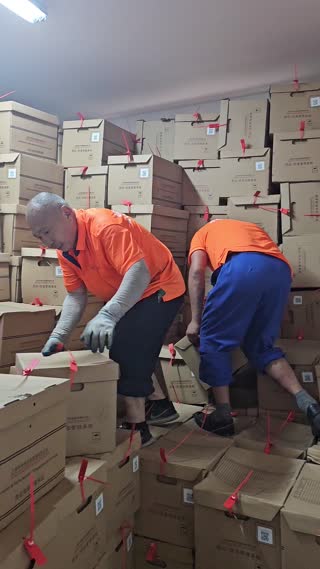 有宠物或植物的家庭，搬家当天怎么安排？2