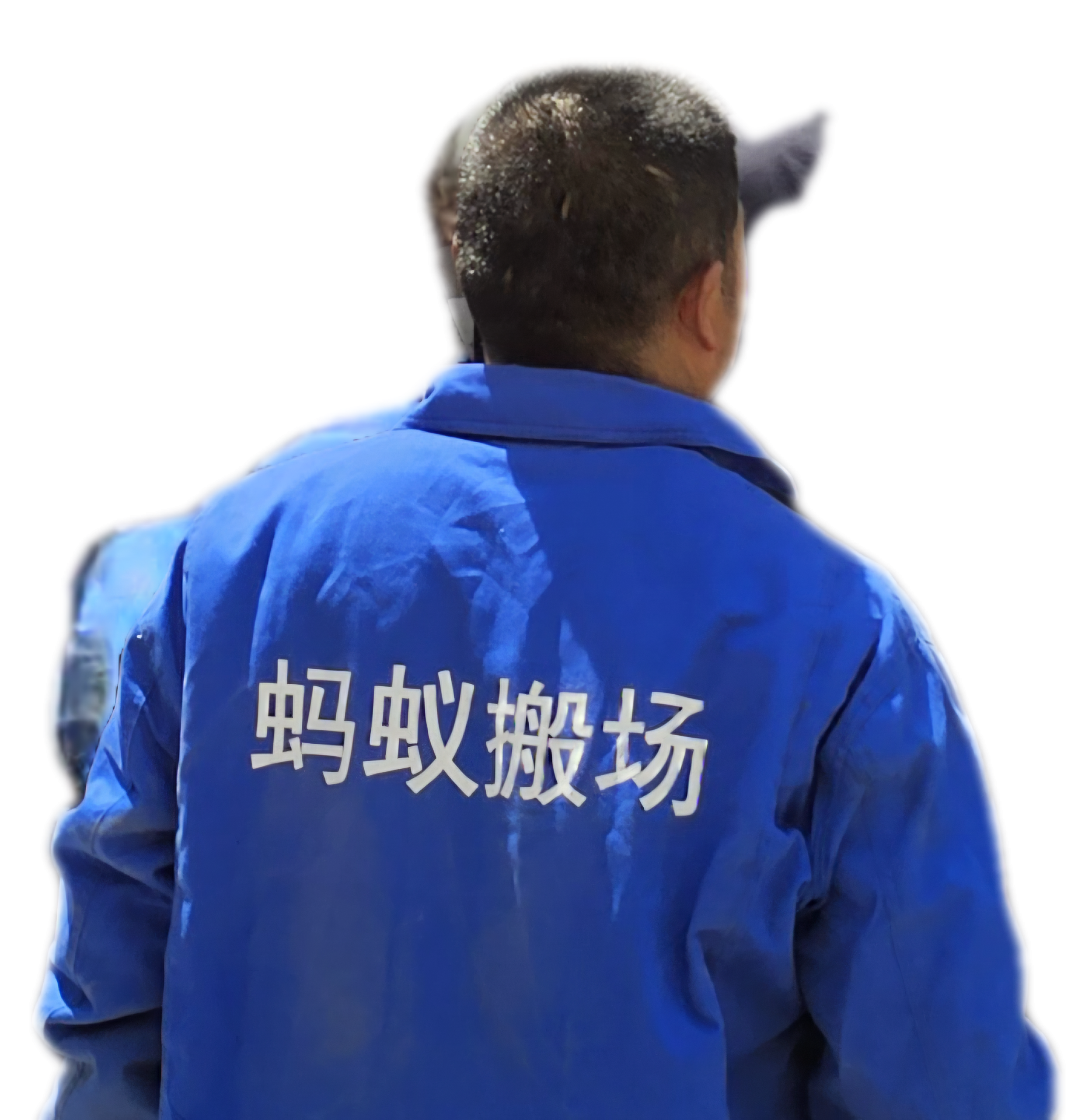 蚂蚁搬场口碑怎么做更稳妥?老师傅经验分享